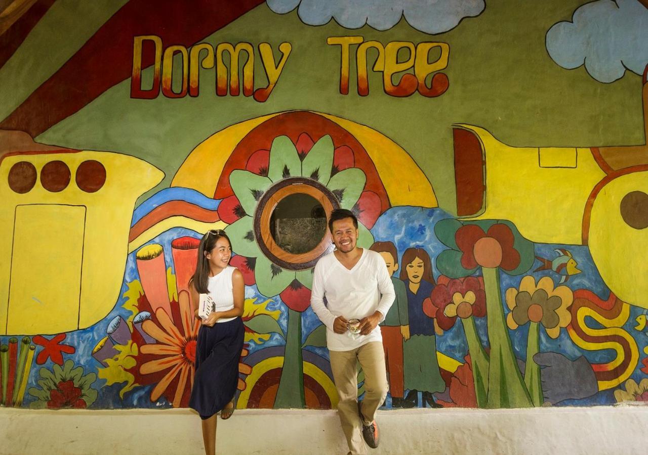 Dorme Tree Pansiyon Labuan Bajo Dış mekan fotoğraf